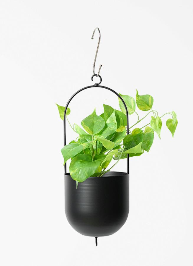 観葉植物 【フェイクグリーン】 ポトス 20cm ファンヌ ハンギング M K