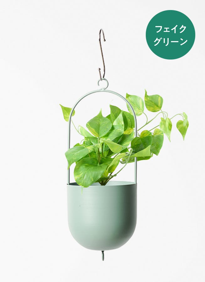 観葉植物【フェイクグリーン】ポトス 20cm 付き | 観葉植物なら