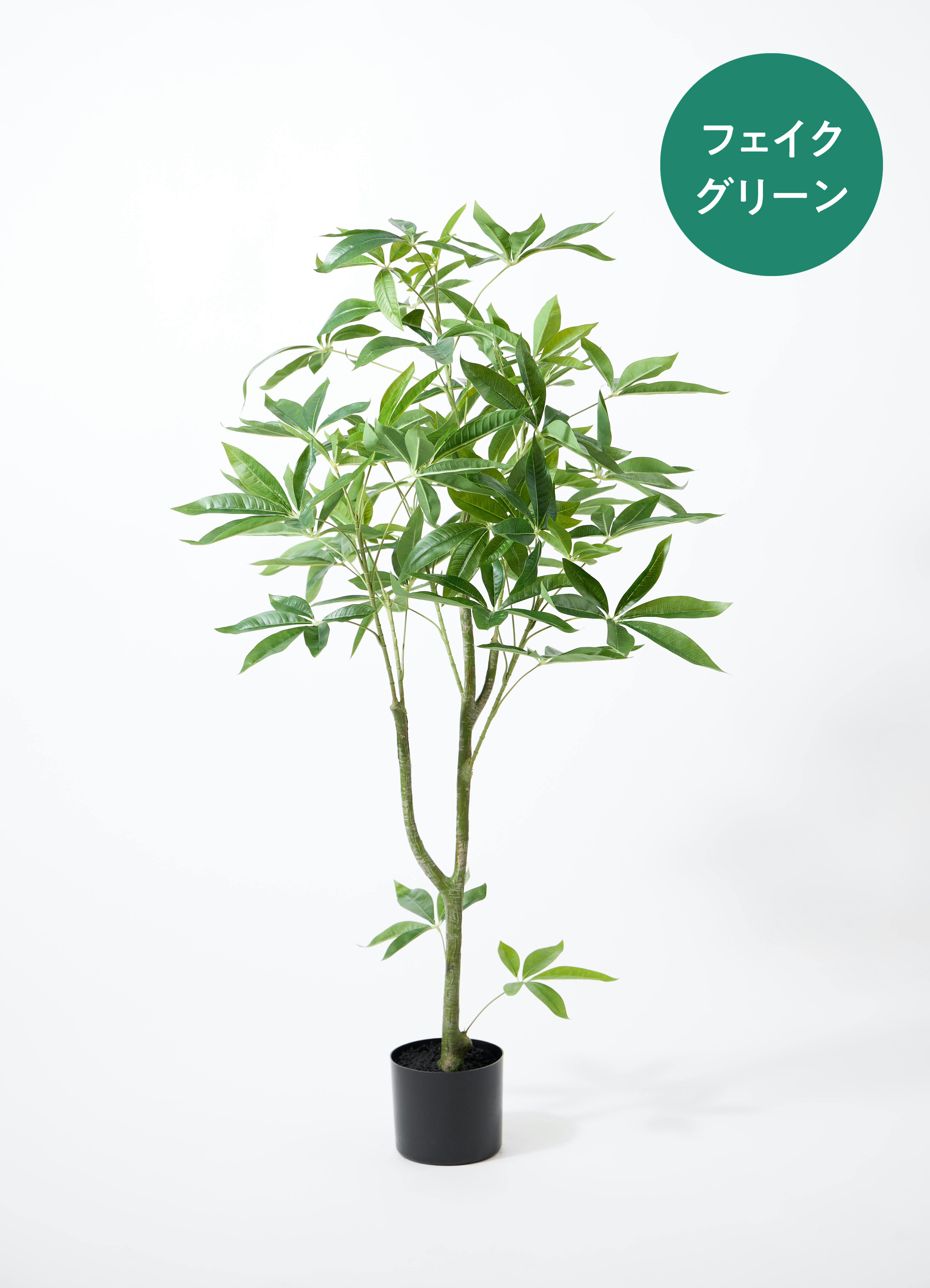 フェイクグリーン パキラ | 通販専門店 HitoHana（ひとはな）