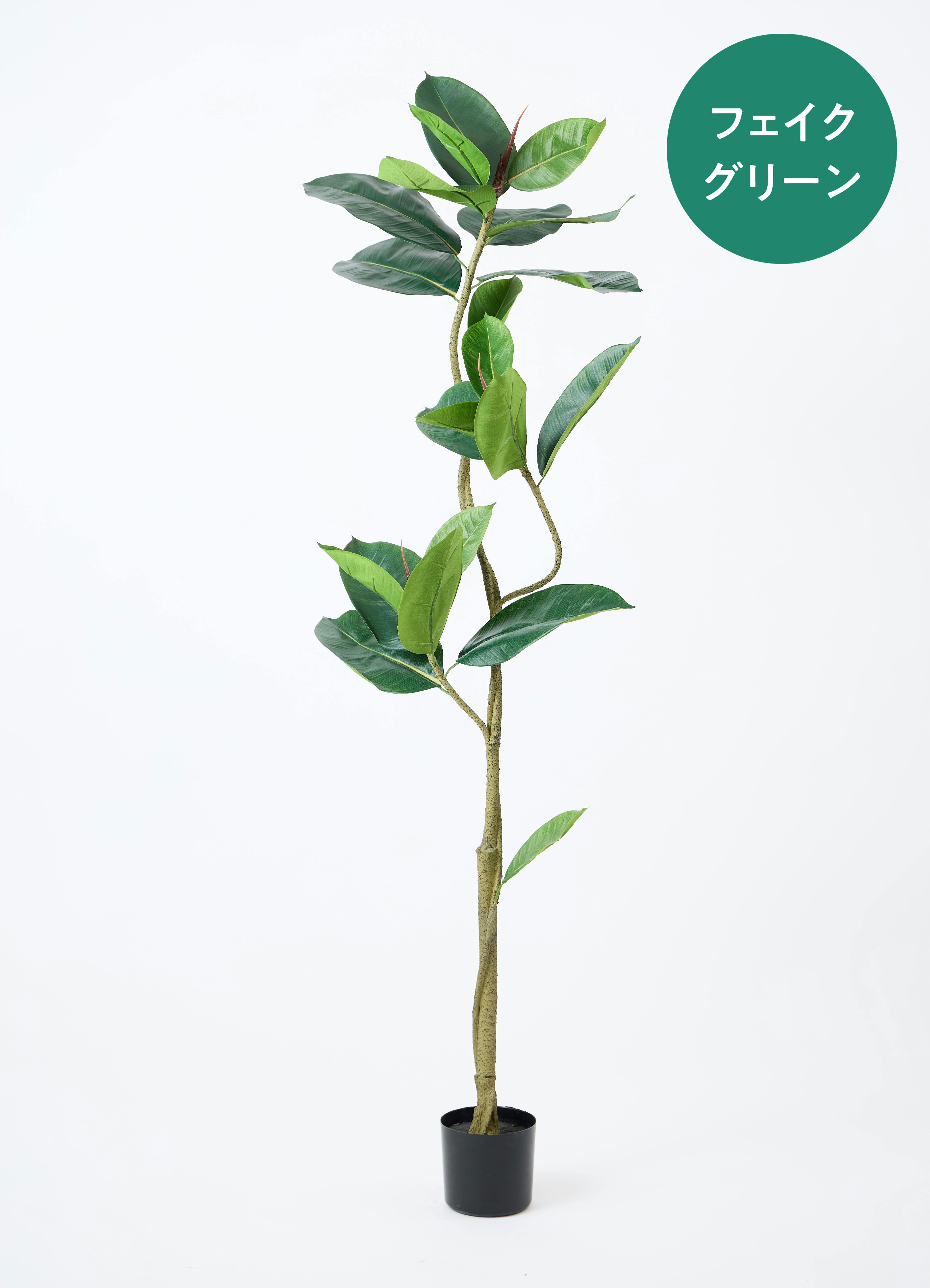 観葉植物【フェイクグリーン】フィカス(ゴムの木) 150cm パボ ミドル 観葉植物【フェイクグリーン】フィカス(ゴムの木) 150cm パボ ミドル