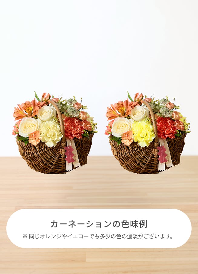 母の日】バラとカーネーションのアレンジメント オレンジ S バスケット