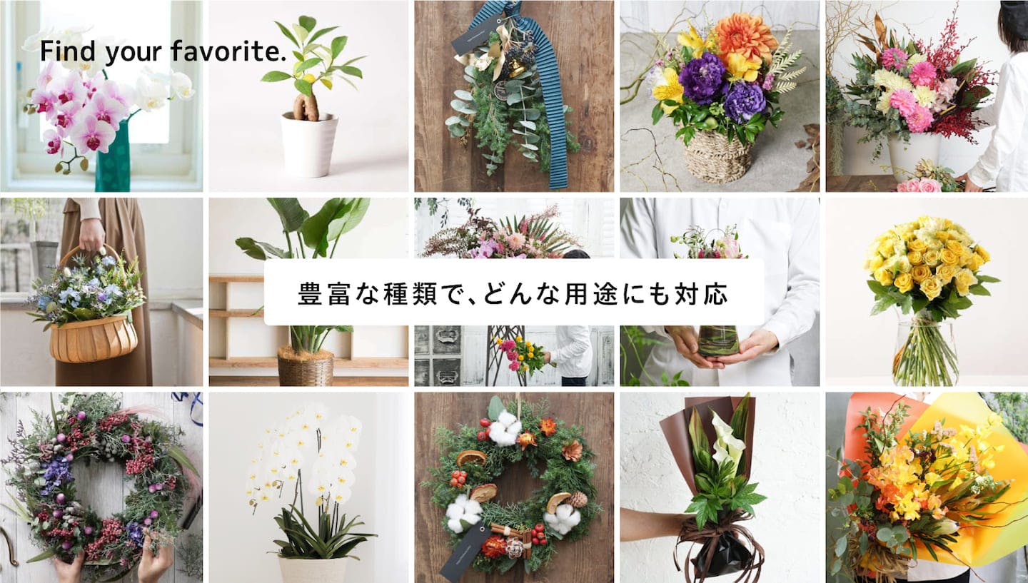 お祝いの花・観葉植物 通販専門店 HitoHana（ひとはな）