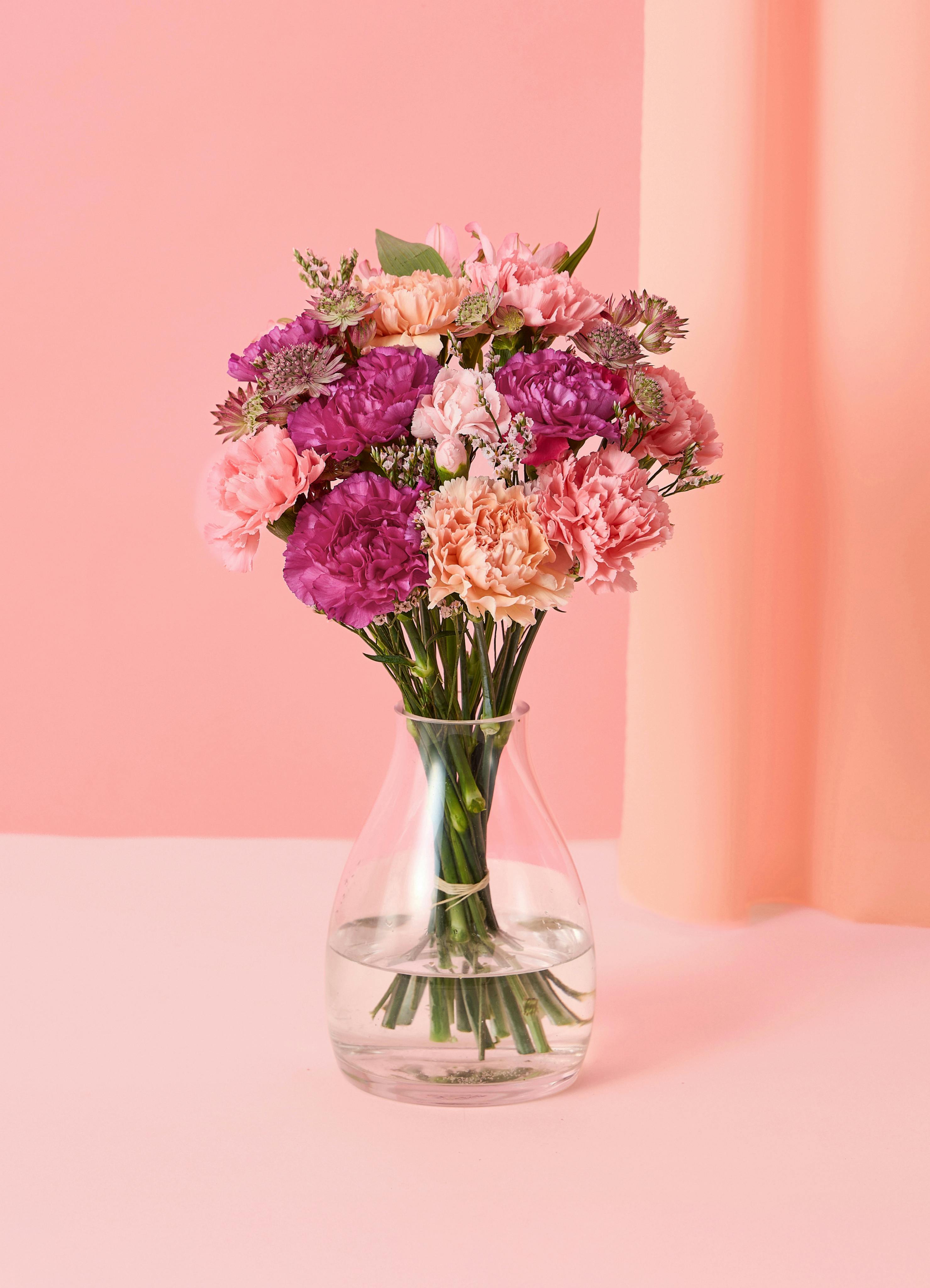 母の日】カーネーションの花束 ピンク S | 花束ならHitoHana(ひとはな)