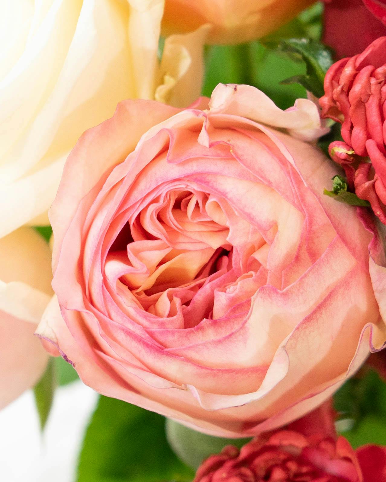 産地直送 バラ花束 ミックスおまかせ（10本入り）／愛知 榊原薔薇園