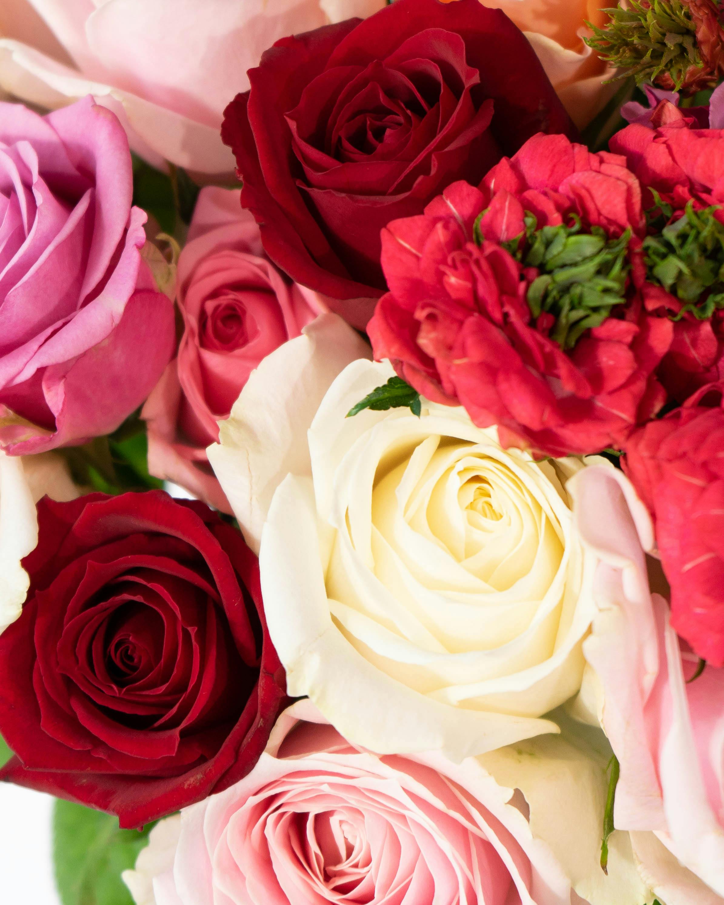 産地直送 バラ花束 ミックスおまかせ（10本入り）／愛知 榊原薔薇園