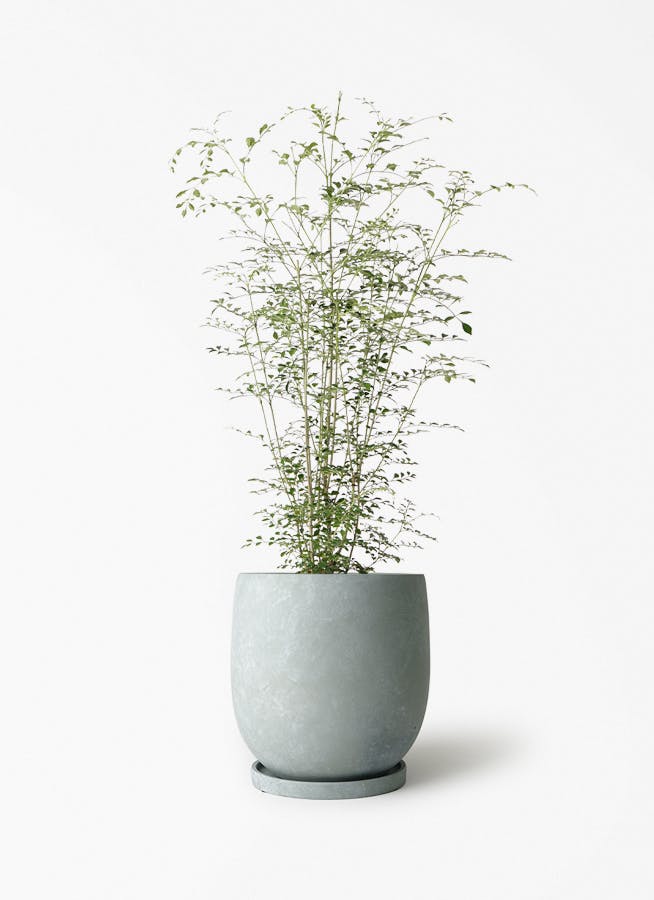 鉢カバー グレー 6号 | 観葉植物の鉢ならHitoHana