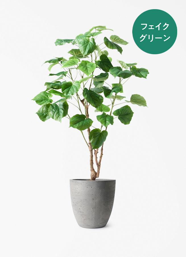 引き取りのみ 大きな観葉植物 ウンベラータ？グレーの鉢 観葉植物【フェイクグリーン】ウンベラータ 120cm コーテス ラウンド