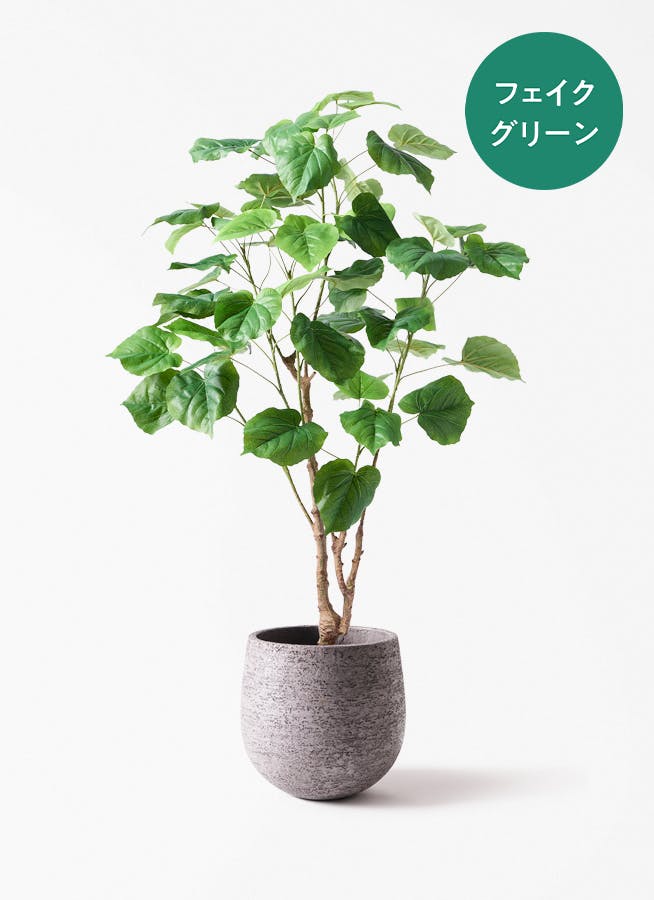 フェイクグリーン フィカス ウンベラータ | 通販専門店 HitoHana（ひと