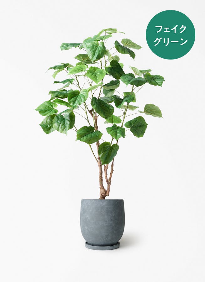 フェイクグリーン フィカス ウンベラータ | 通販専門店 HitoHana（ひと