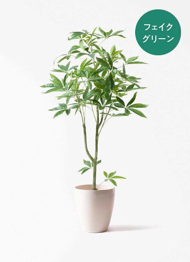 フェイクグリーン パキラ | 通販専門店 HitoHana（ひとはな）
