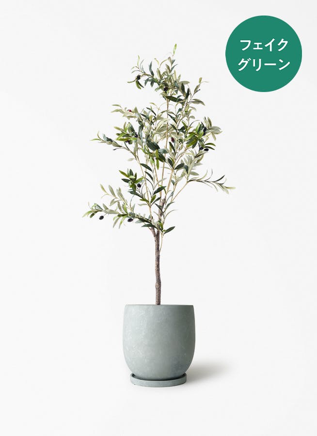 fake-olive-53_0000.jpg