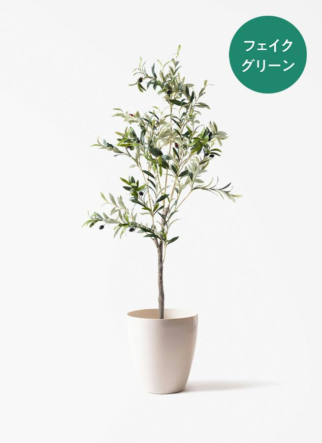 フェイクグリーン 100cm～ | 通販専門店 HitoHana（ひとはな）