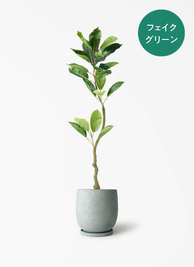 フェイクグリーン 100cm～ | 通販専門店 HitoHana（ひとはな）