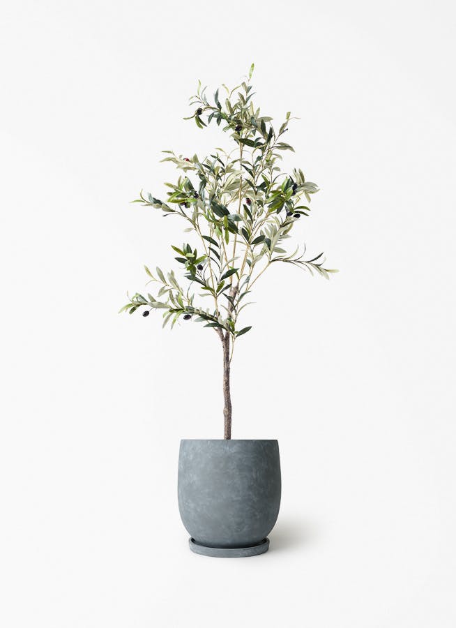 観葉植物【フェイクグリーン】オリーブ 実付き 115cm アイルエッグ
