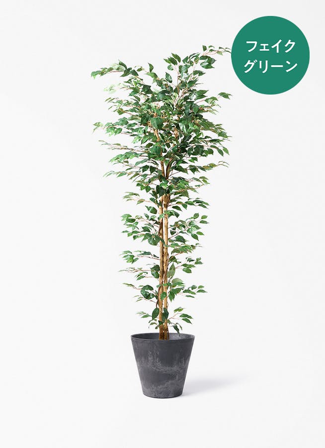 フェイクグリーン　大型 フェイクグリーン 大型（180cm～） | 通販専門店 HitoHana（ひとはな）