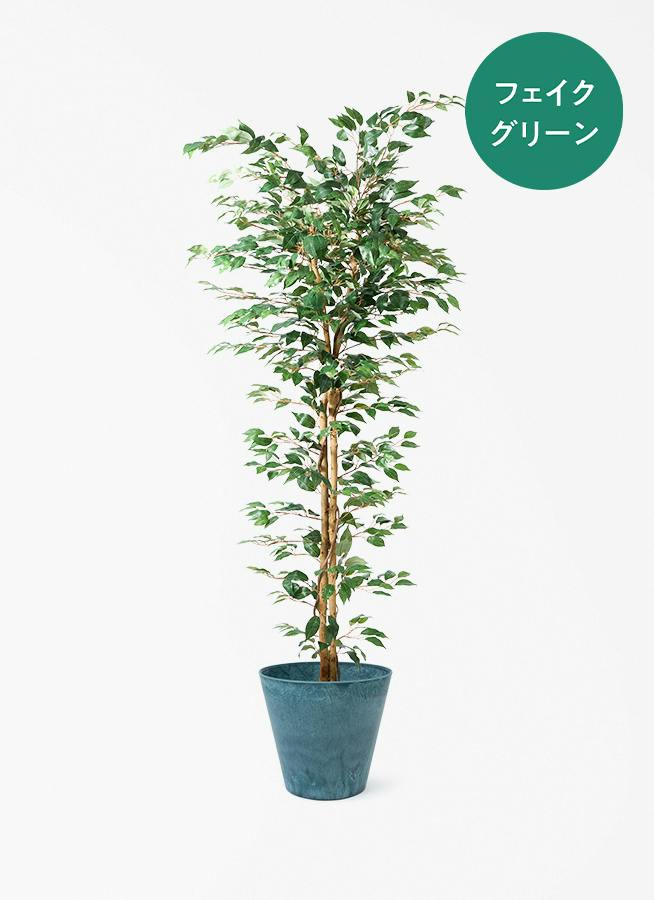 大型のフェイクグリーン | 通販専門店 HitoHana（ひとはな）