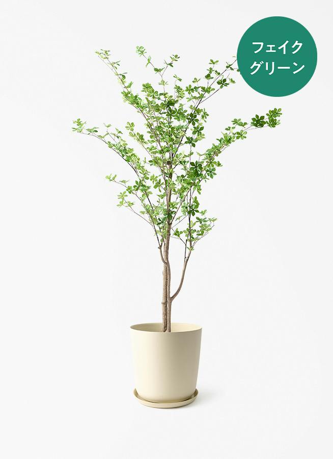 フェイクグリーン ドウダンツツジ | 通販専門店 HitoHana（ひとはな）