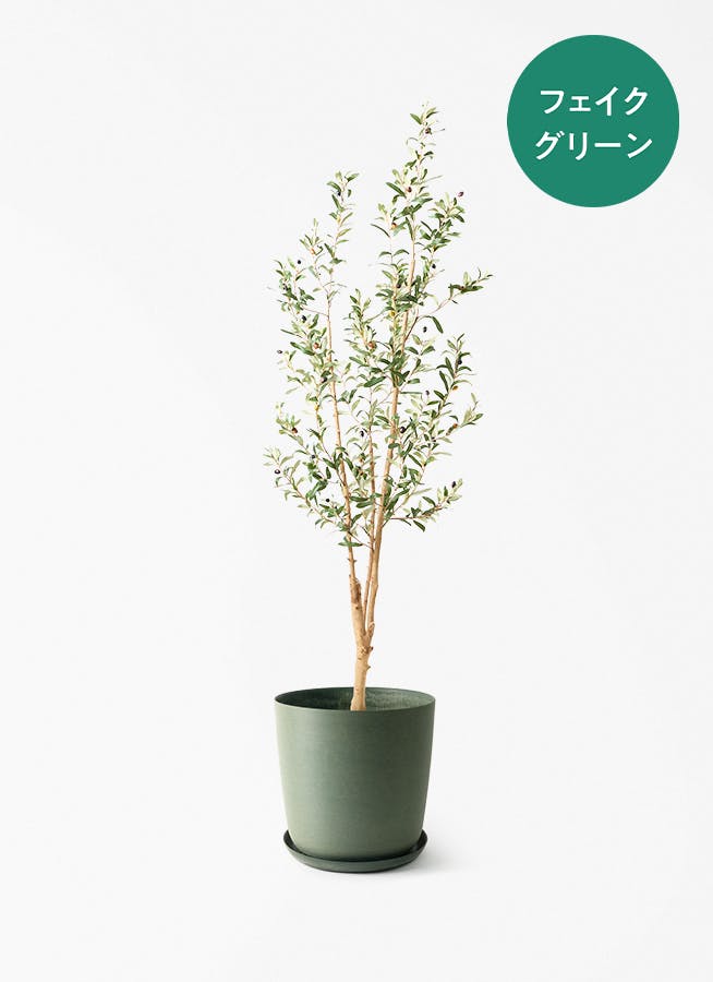 フェイクグリーン 大型（180cm～） | 通販専門店 HitoHana（ひとはな）