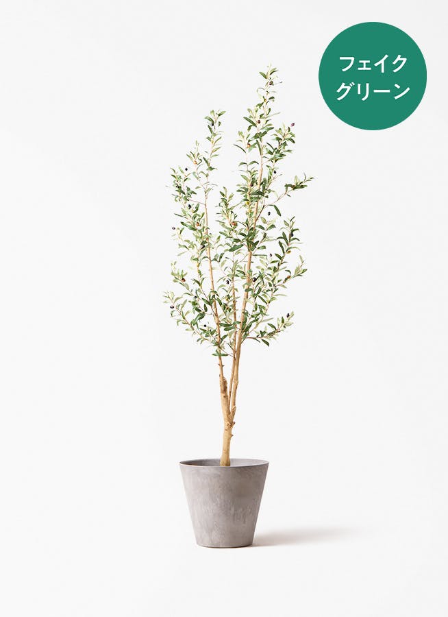 フェイクグリーン　大型 フェイクグリーン 大型（180cm～） | 通販専門店 HitoHana（ひとはな）