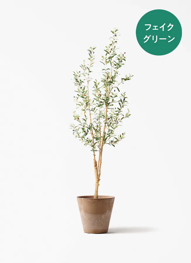 フェイクグリーン 大型（180cm～） | 通販専門店 HitoHana（ひとはな） フェイクツリー180cm×150cm