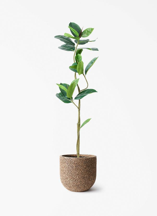 観葉植物【フェイクグリーン】フィカス（ゴムの木） 150cm