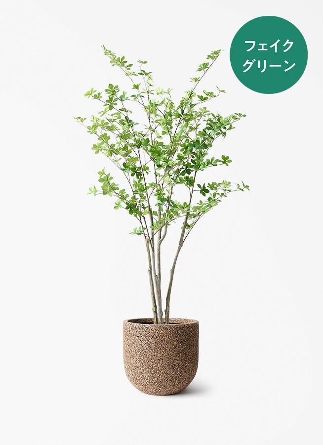 光触媒　人工観葉植物　フェイクグリーン　ドウダンツツジ130FST フェイクグリーン ドウダンツツジ | 通販専門店 HitoHana（ひとはな）