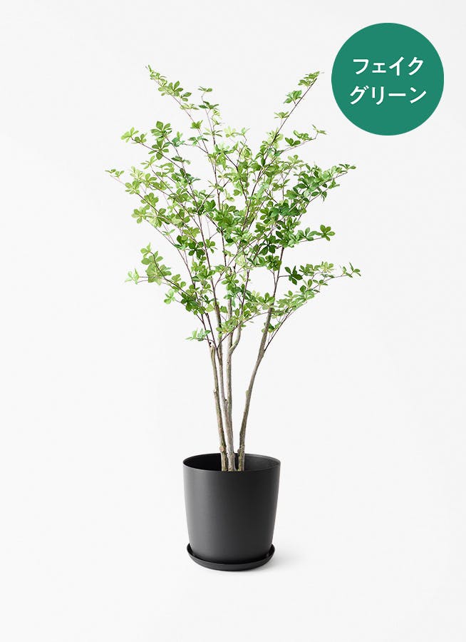 観葉植物【フェイクグリーン】ウンベラータ 曲り 150cm エステリ