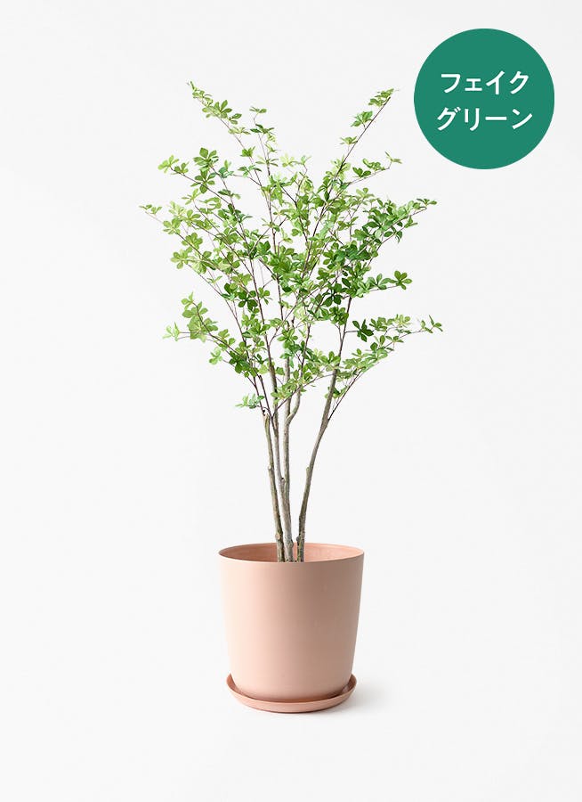 フェイクグリーン ドウダンツツジ | 通販専門店 HitoHana（ひとはな）