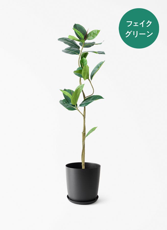 観葉植物【フェイクグリーン】ウンベラータ 曲り 150cm エステリ