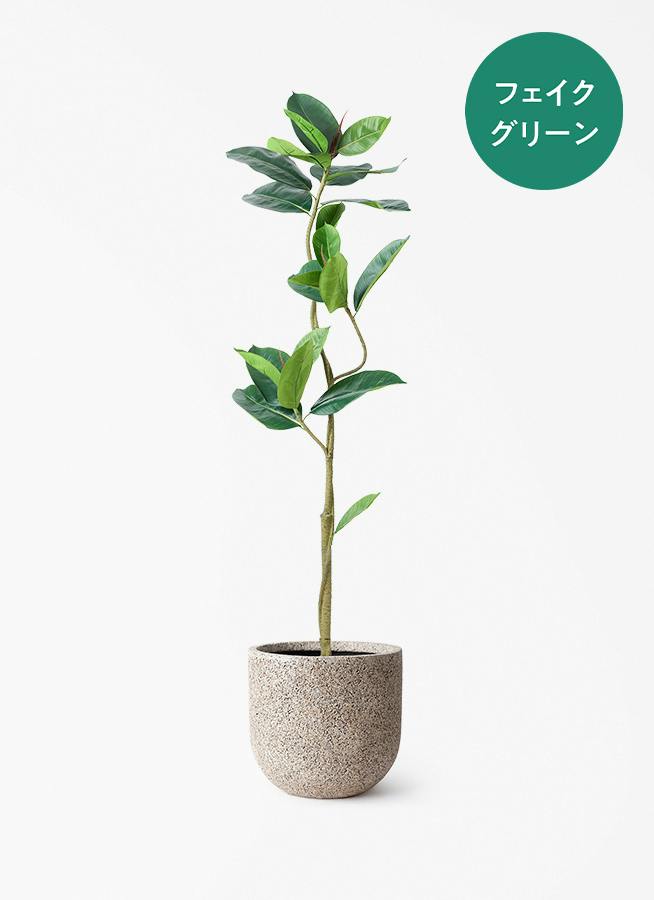 観葉植物【フェイクグリーン】フィカス（ゴムの木） 150cm