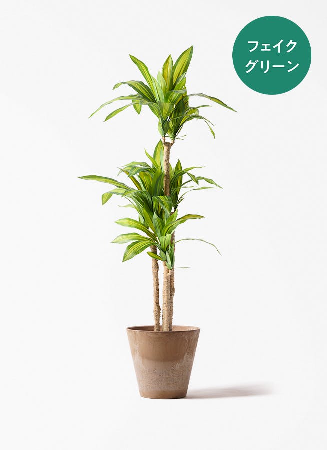 フェイクグリーン ドラセナ 幸福の木 | 通販専門店 HitoHana（ひとはな）