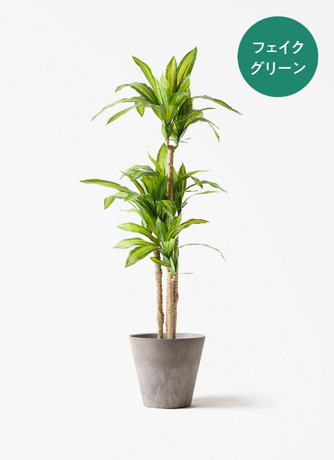 フェイクグリーン ドラセナ 幸福の木 | 通販専門店 HitoHana（ひとはな）