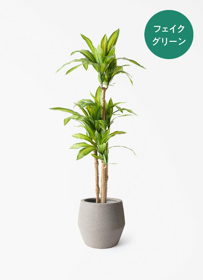 人工観葉植物 ドラセナ フェイクグリーン 150cm 観葉植物 【フェイクグリーン】 ドラセナ 幸福の木 150cm パボ ジャー