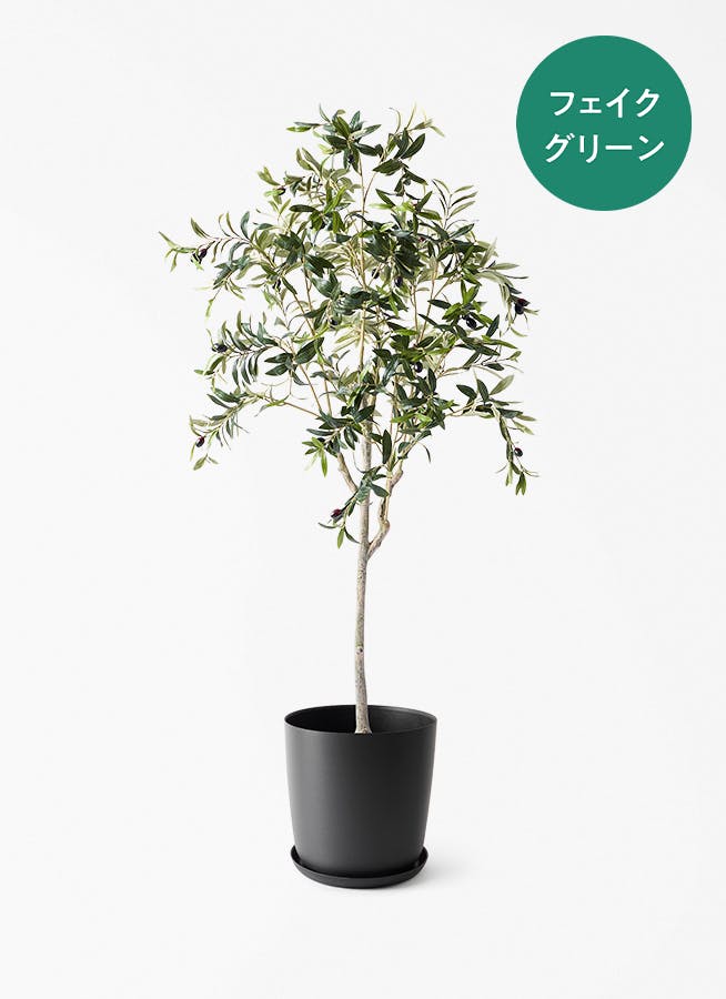 観葉植物【フェイクグリーン】ウンベラータ 曲り 150cm エステリ