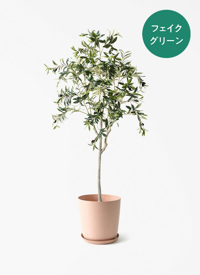 フェイクグリーン オリーブの木 150cm | 通販専門店 HitoHana（ひとはな）