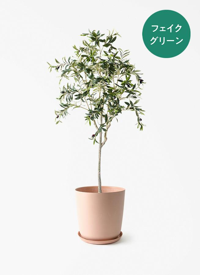 フェイクグリーン　オリーブ 観葉植物【フェイクグリーン】オリーブ 実付き 156cm エステリ ピンク