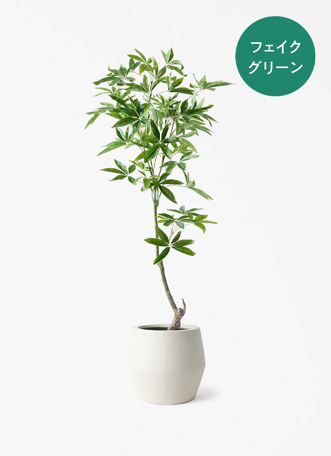 #2750 【新品】フェイクグリーン パキラ 人口観葉植物 フェイク 白 観葉植物【フェイクグリーン】パキラ 150cm パボ ジャー オフホワイト