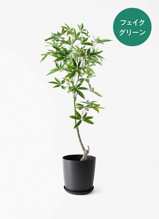 観葉植物【フェイクグリーン】ウンベラータ 曲り 150cm エステリ