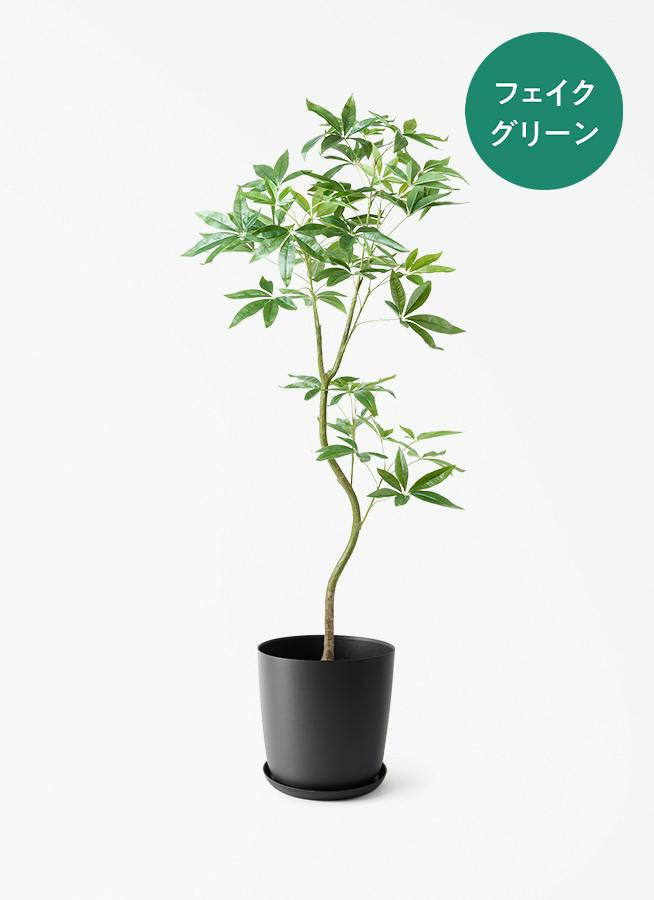観葉植物【フェイクグリーン】ウンベラータ 曲り 150cm エステリ