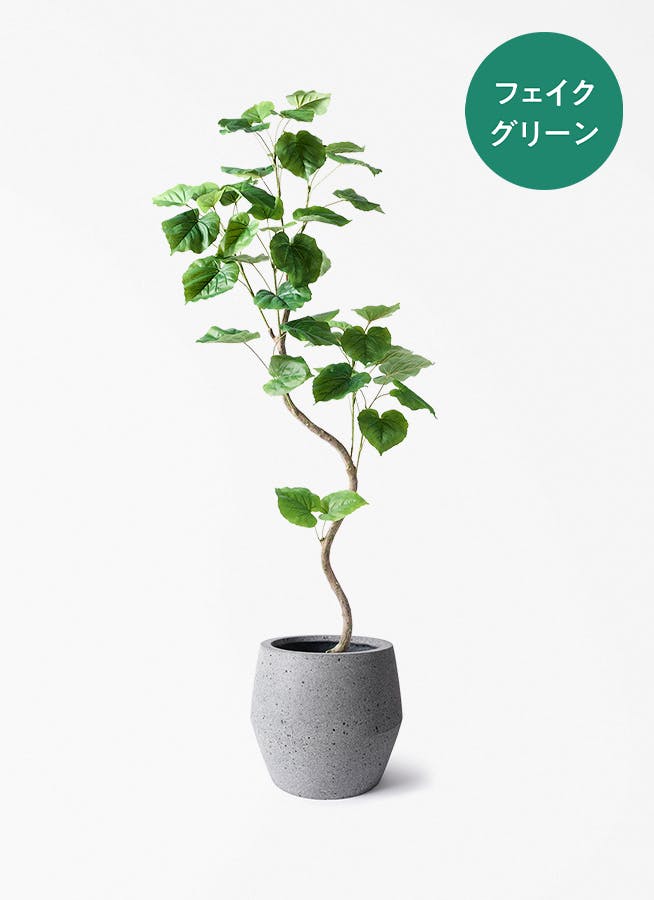 観葉植物【フェイクグリーン】ウンベラータ 曲り 150cm パボ ジャー