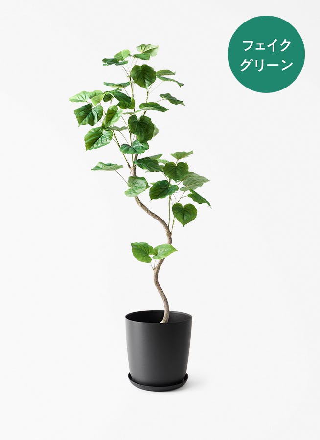 観葉植物【フェイクグリーン】ウンベラータ 曲り 150cm エステリ