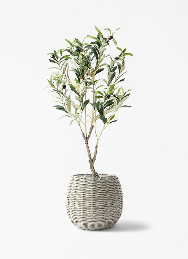 観葉植物【フェイクグリーン】オリーブ 実付き 80cm ジェミニ