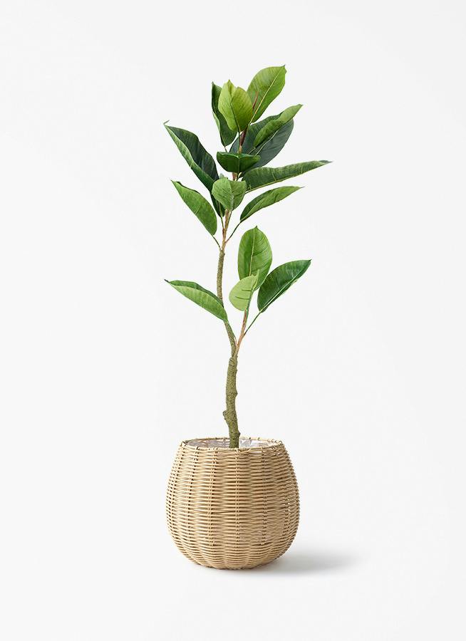 天然木製バスケット フェイクグリーン付き インテリア 観葉植物【フェイクグリーン】フィカス（ゴムの木） 90cm バスケット
