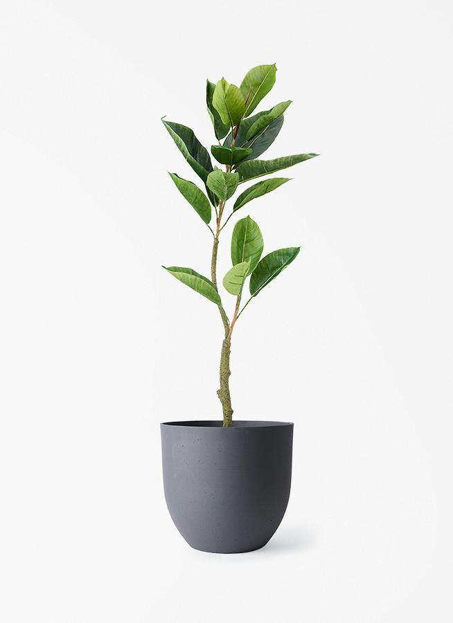 Green Life Interiors フェイクグリーン フィカス 観葉植物【フェイクグリーン】フィカス（ゴムの木） 90cm インティ