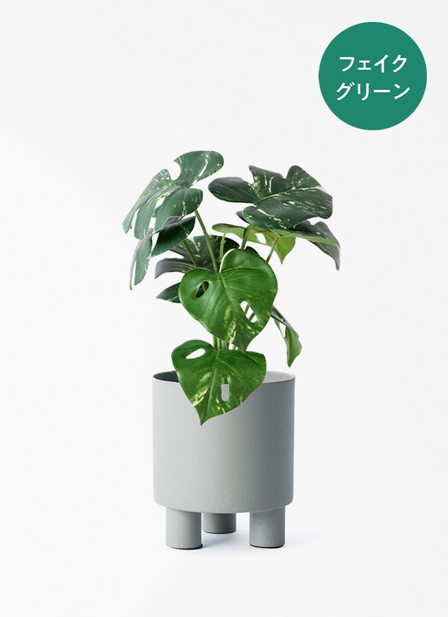 フェイクグリーン 30cm～ | 通販専門店 HitoHana（ひとはな）