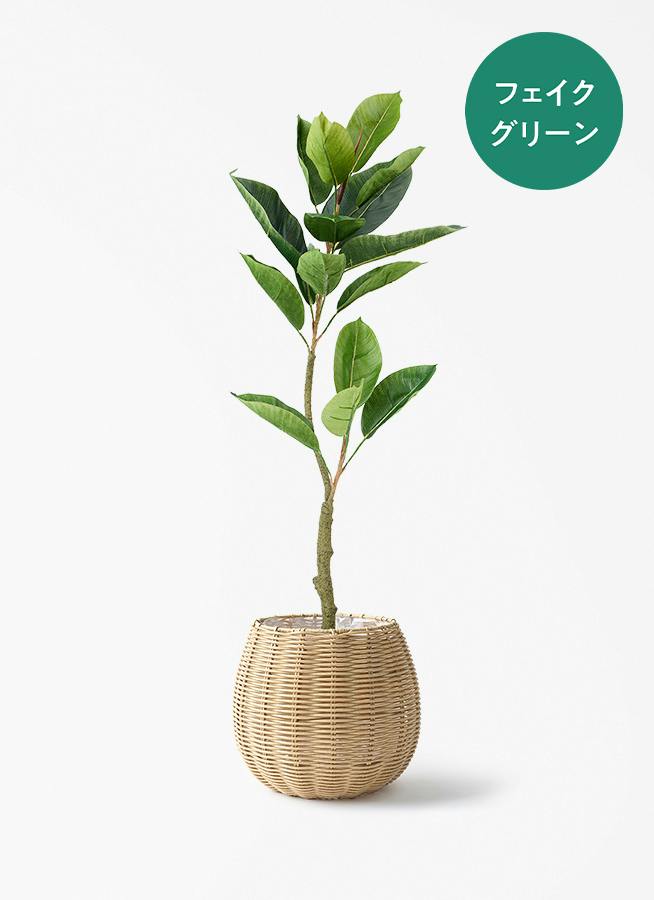 観葉植物【フェイクグリーン】フィカス（ゴムの木） 90cm バスケット