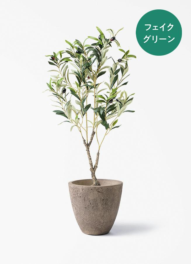 フェイクグリーン 80cm～ | 通販専門店 HitoHana（ひとはな）