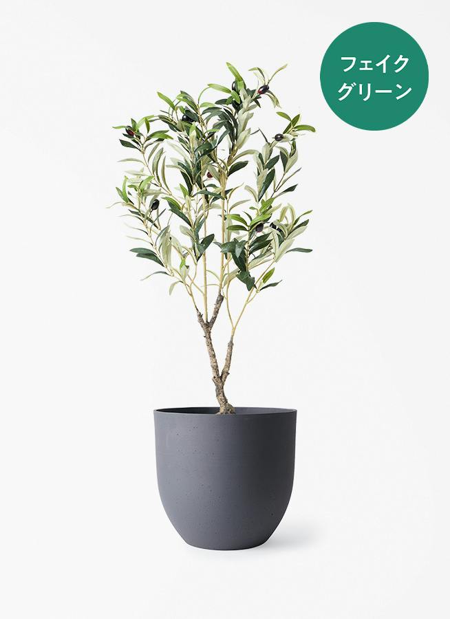 フェイクグリーン 80cm～ | 通販専門店 HitoHana（ひとはな）