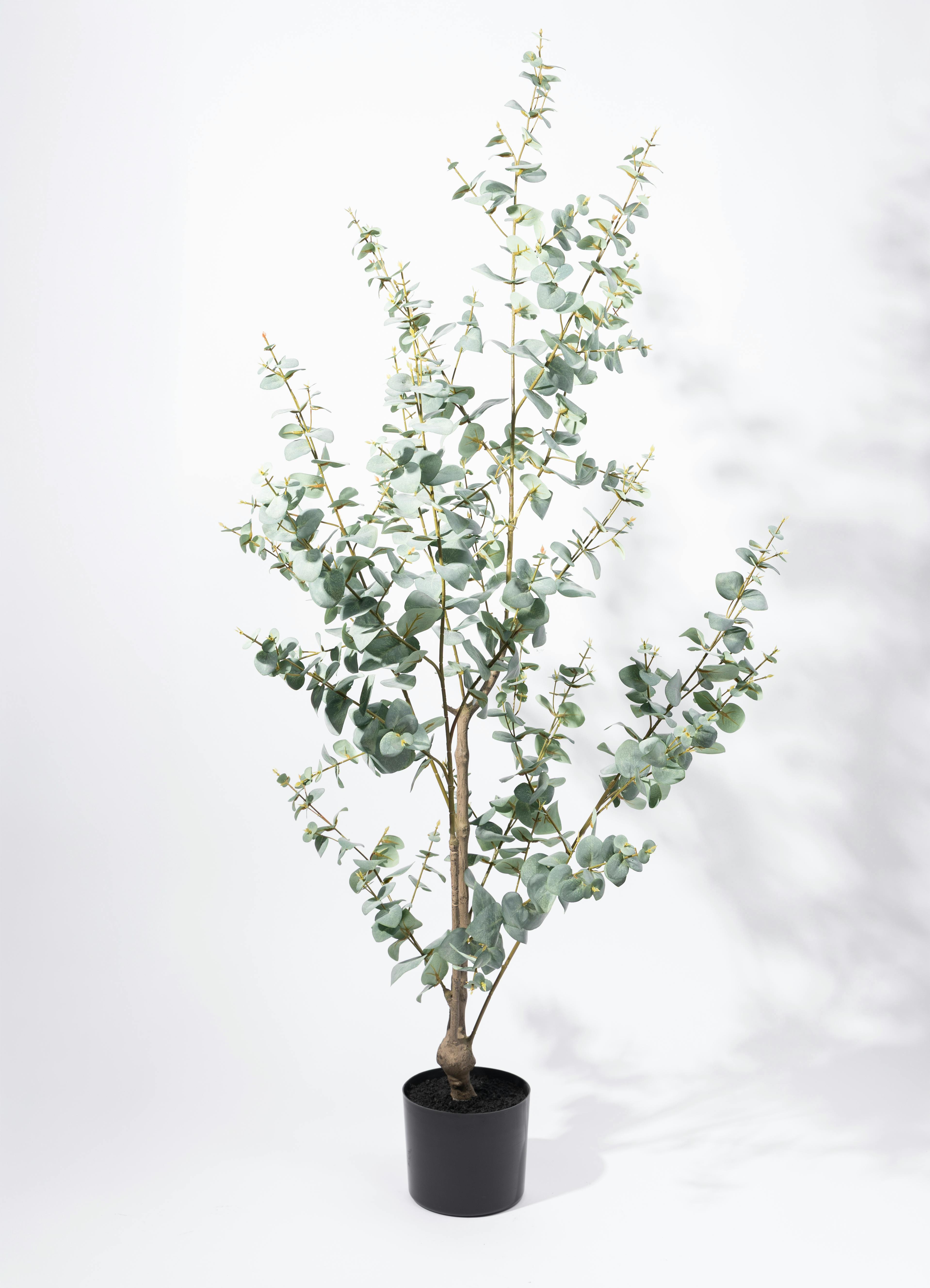 観葉植物 【フェイクグリーン】 ユーカリ 150cm エステリ ピンク 付き