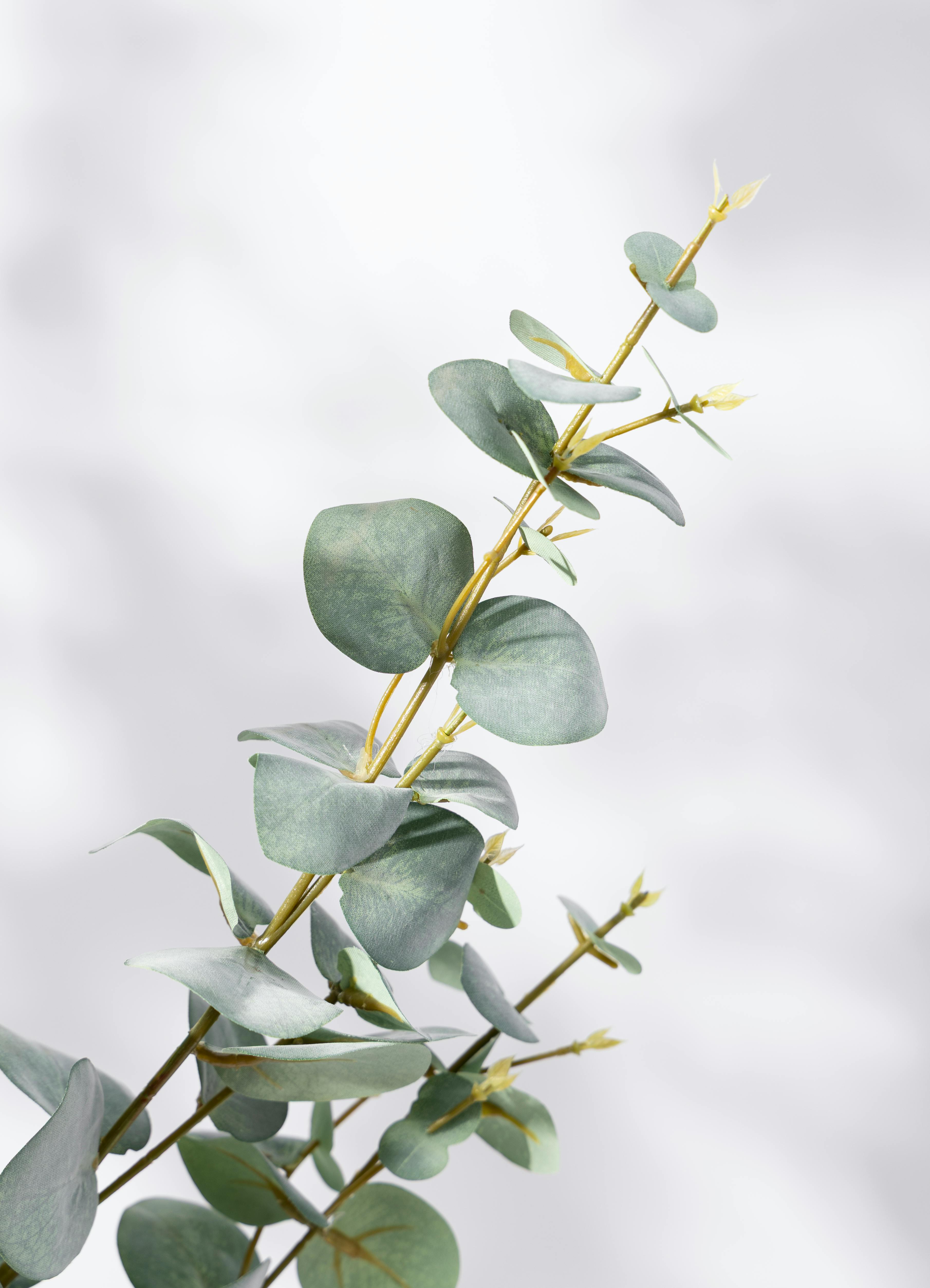 観葉植物【フェイクグリーン】ユーカリ 150cm ベースポット入り #GLP